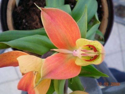 DSCN27370001.JPG