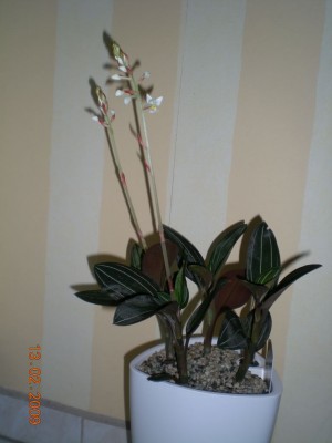DSCN27470001.JPG