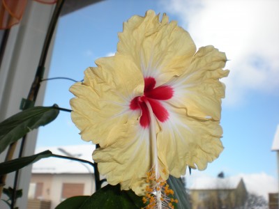 DSCN0152.JPG