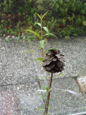 Diverse 2008 246.jpg