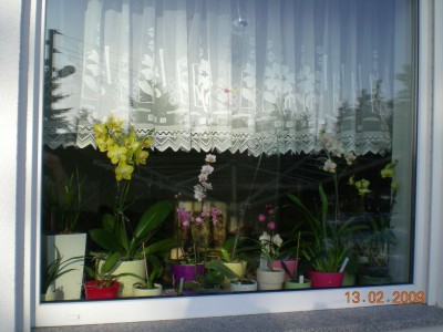 DSCN27610001.JPG