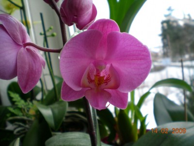 DSCN27780001.JPG