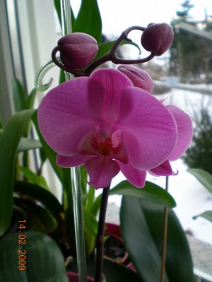 DSCN27790001.JPG