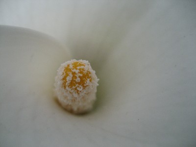 makro5.jpg
