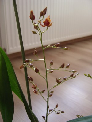 DSC03391.JPG