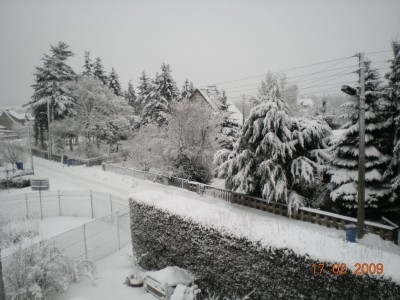DSCN27980001.JPG