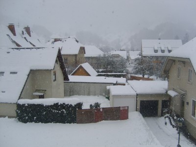 Winter.JPG