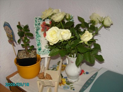 PICT0549.JPG