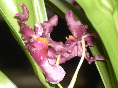 PICT4497.JPG