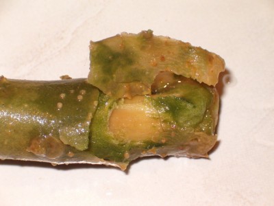 HPIM5647.JPG
