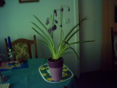 PICT0001.JPG