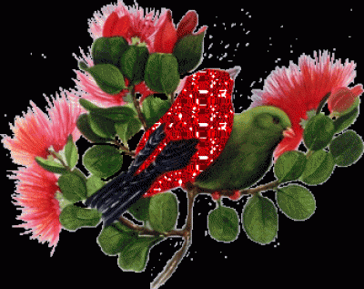 avolgeltjeglitterd.gif