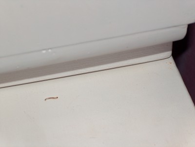 HPIM0585.JPG