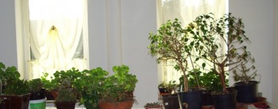 DSCI0012.JPG