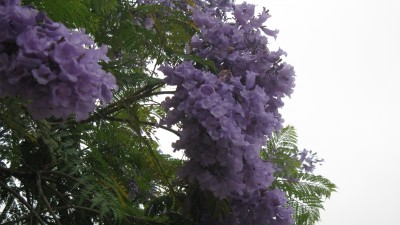 IMG_3932.JPG