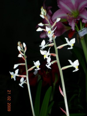 DSCN28410001.JPG