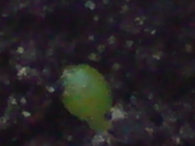 DSC00306.JPG