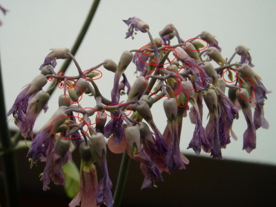 P1010015.JPG