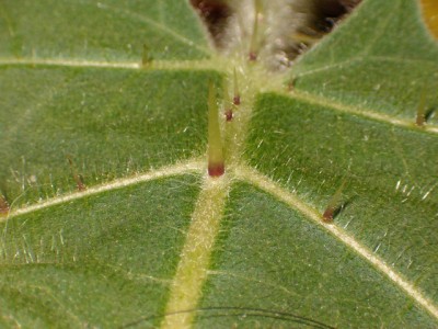HPIM5659.JPG