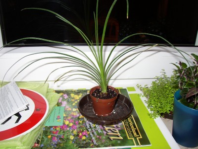 P1010053.JPG