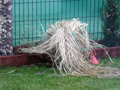 Bild025.jpg