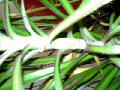 27022009(002).jpg