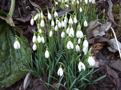 DSCF2648.JPG