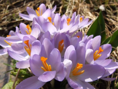 DSCF2632.JPG