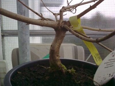01032009074[1].jpg