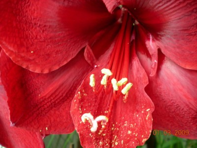 DSCN28980001.JPG