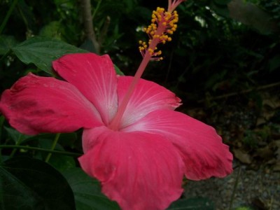Resize of nyaralás 2008 039.jpg