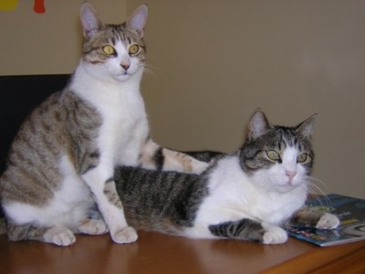 Benji mit Tizio, seinem Ziehvater (9 Monate alt).jpg