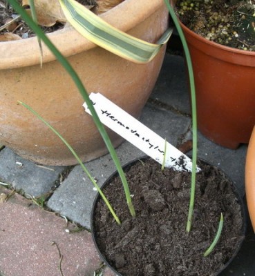 CIMG5236_Bildgröße ändern.JPG