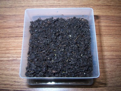 18.02.2009 als Dunkelkeimer.jpg