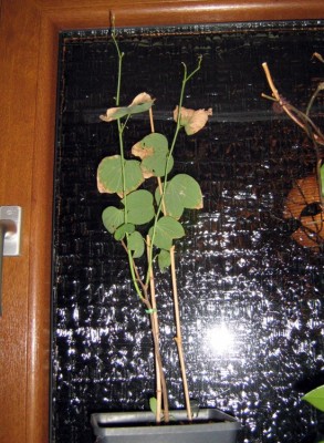 web_IMG_8253.jpg