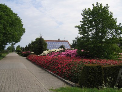 Blütenbilder Teil 5 013.jpg