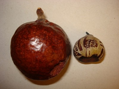 Makalani mit Kern.jpg