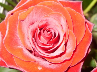 DSCI0027 - Kopie.JPG