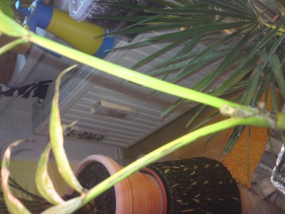 Bild 4.JPG