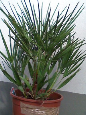 moto_0065.jpg