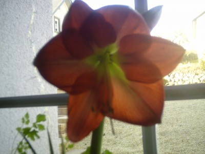 PICT3603.JPG
