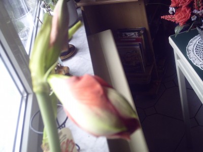 PICT3586.JPG