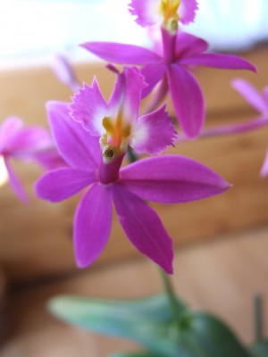 DSCF2691.JPG