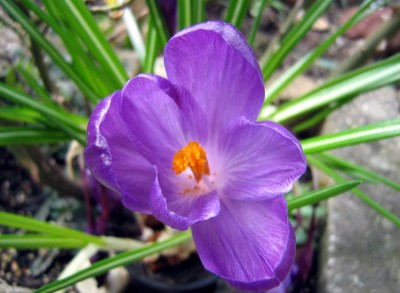 web_IMG_8436.jpg
