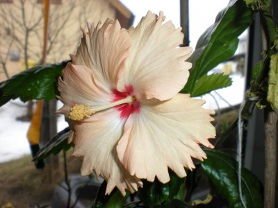 DSCN0186.JPG