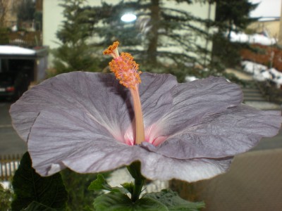 DSCN0172.JPG
