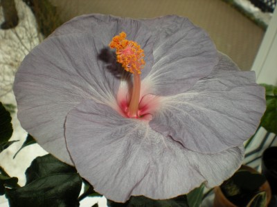 DSCN0174.JPG