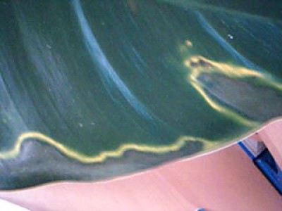 P2.jpg