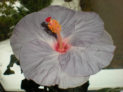 DSCN0170.JPG