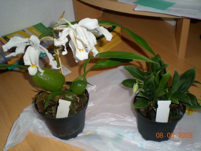DSCN31510001.JPG